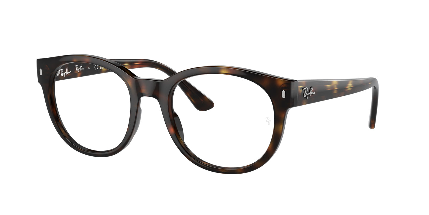 RAY-BAN VISTA RX 7227 201253