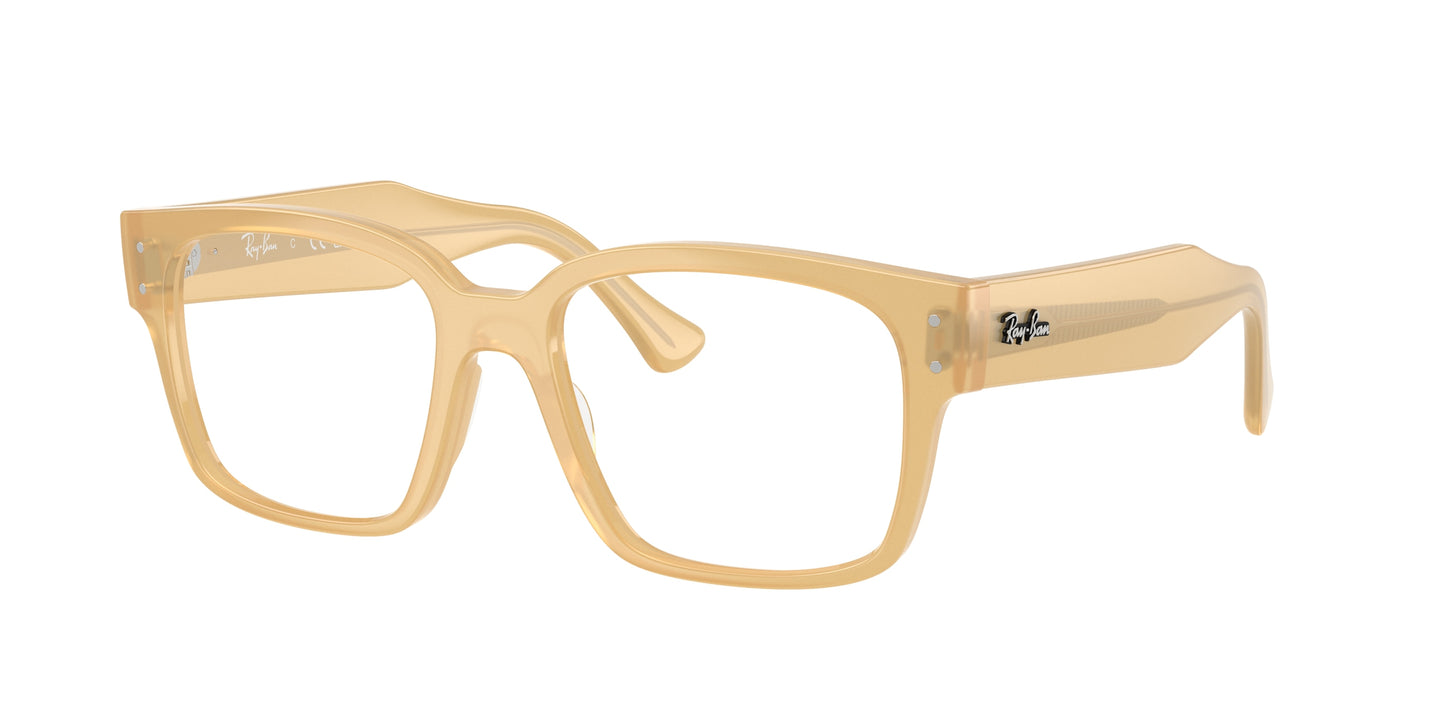 RAY-BAN VISTA RX 7256 843053