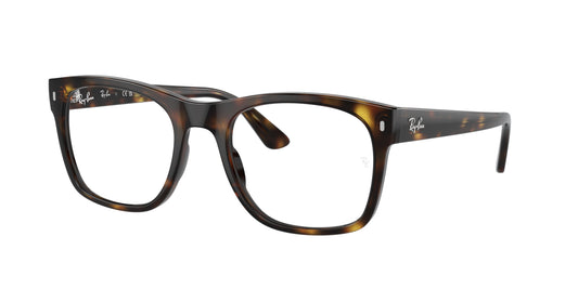 RAY-BAN VISTA RX 7228 201253