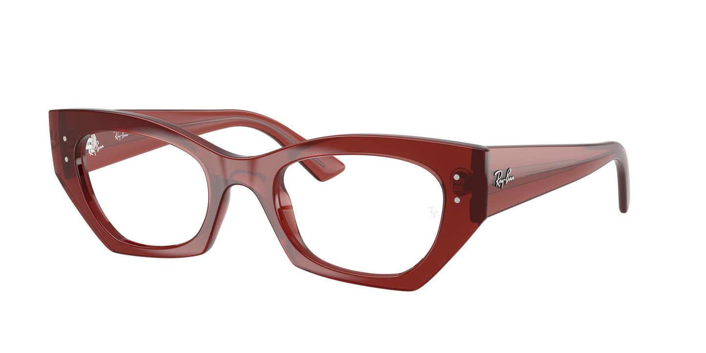 RAY-BAN VISTA RX 7330 843652