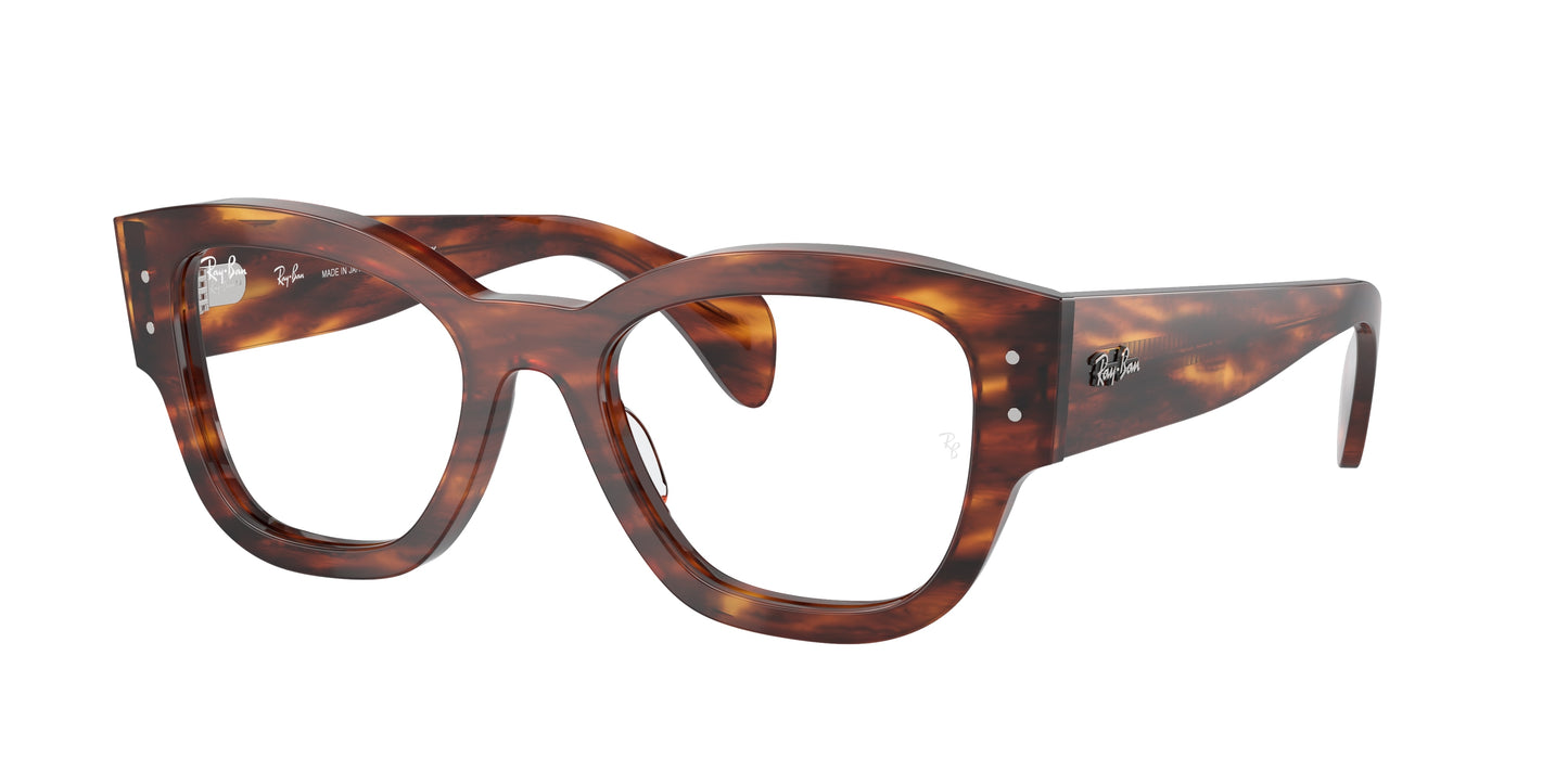 RAY-BAN VISTA RX 7681V 214452